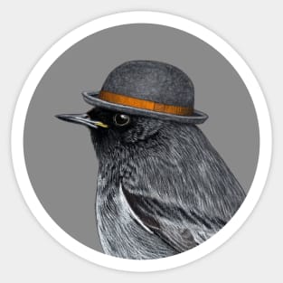 Black redstart Sticker